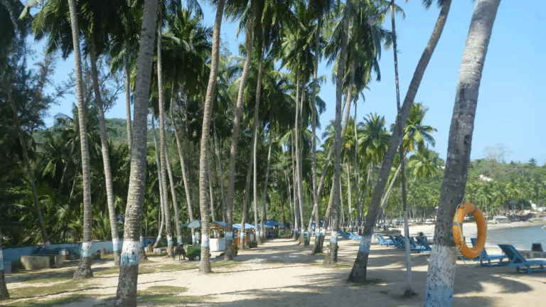 ARRIVE AT PORT BLAIR – PICK UP FROM AIRPORT – CHECK INN – CORBYNS COVE BEACH